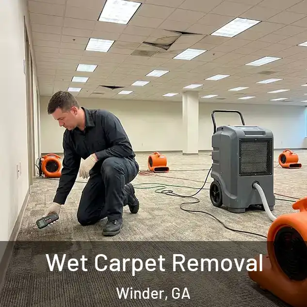  Wet Carpet Removal Winder, GA